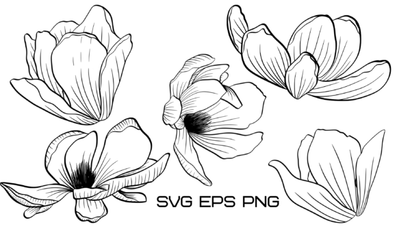Magnolia Flowers: Elevating Design with Timeless Botanical Elegance